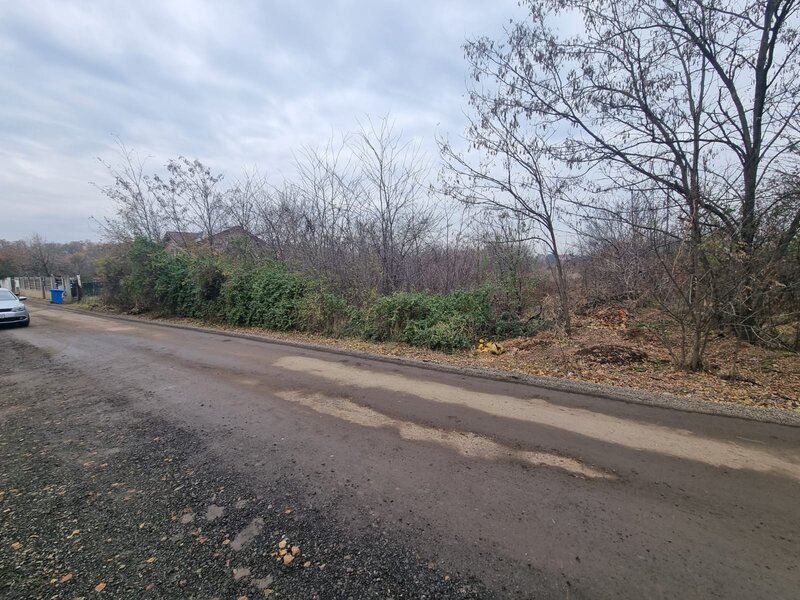 Branesti, strada Brazi vand 2500 mp in spatele lizierei, utilitati